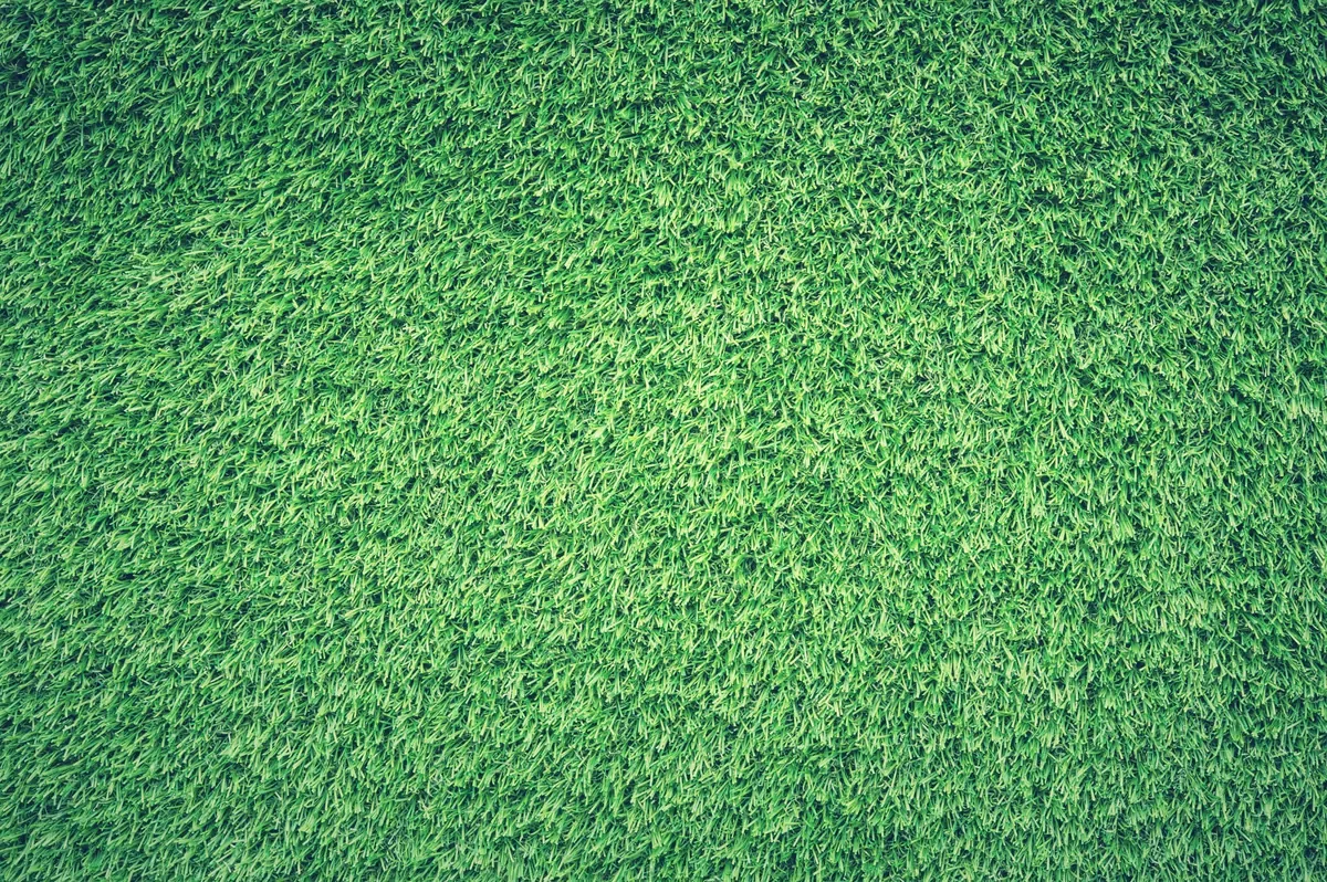 Green grass
