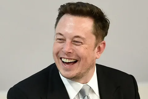 Elon Musk Announces Twitter Users Can Now Pay $500 a Month to Make Him Laugh
