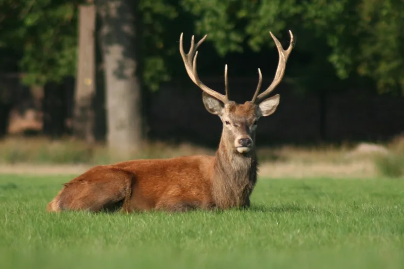 Florida Teenager Outraged Because Hunting Isn’t Like the Video Games