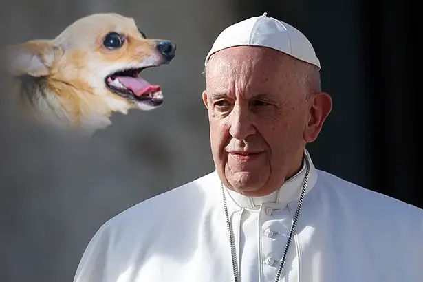 Pope Francis Declares That All Dogs Go to Heaven, Except Chihuahuas