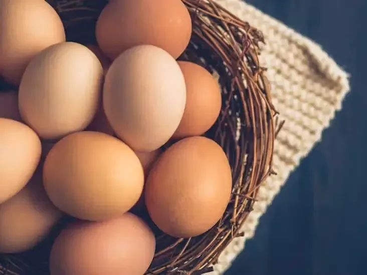 U.S. Congress Introduces New Bill to Ban Eggs Since They’re the Only Thing Americans Can Afford
