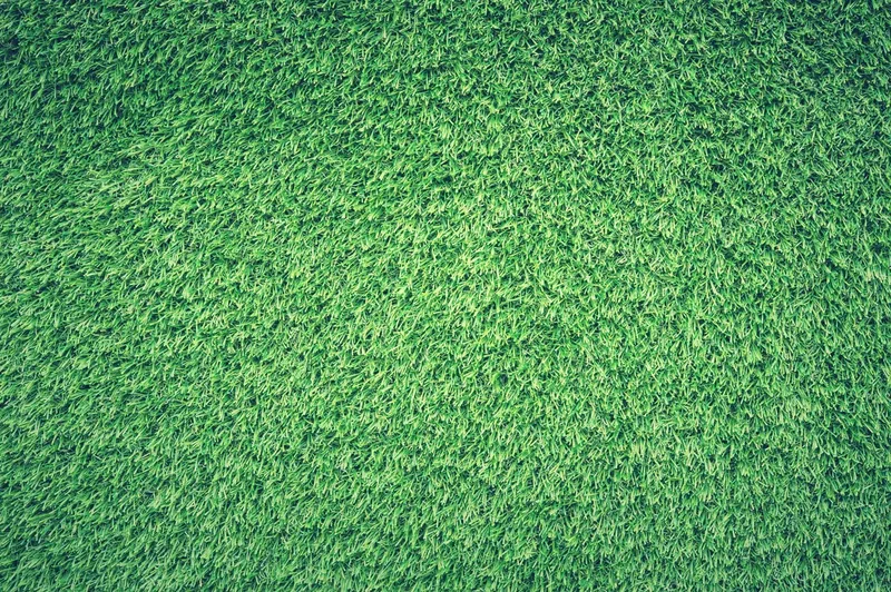 Green grass